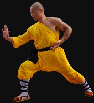 Martiale Qi Gong en Hapkido