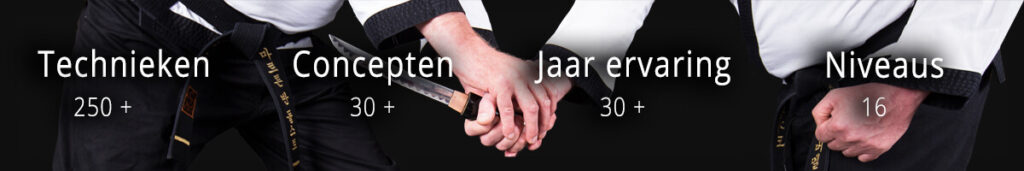 Hapkido Oirschot ervaring en aanbod
