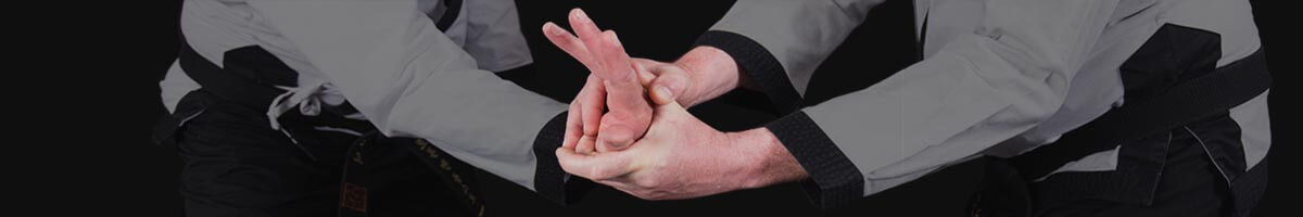 Hapkido Oirschot header