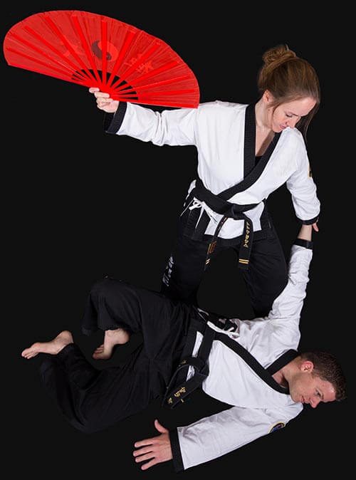 Hapkido Oirschot met keuzen wapens